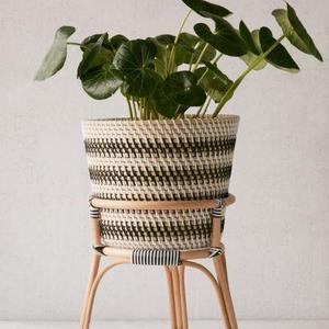 Bistro 12” Rattan Planter + Stand
