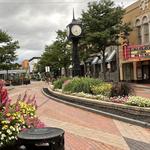 Downtown Northville