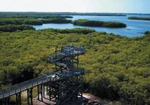 Weedon Island Preserve