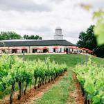 Barboursville Vineyards