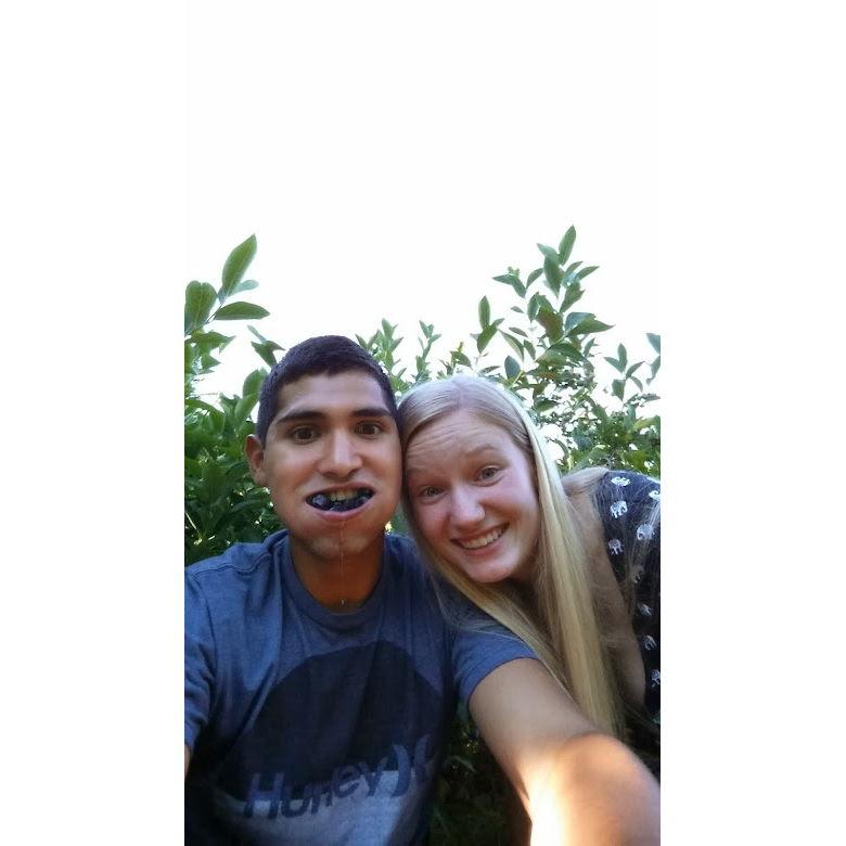 Picking blueberries, July 2014.