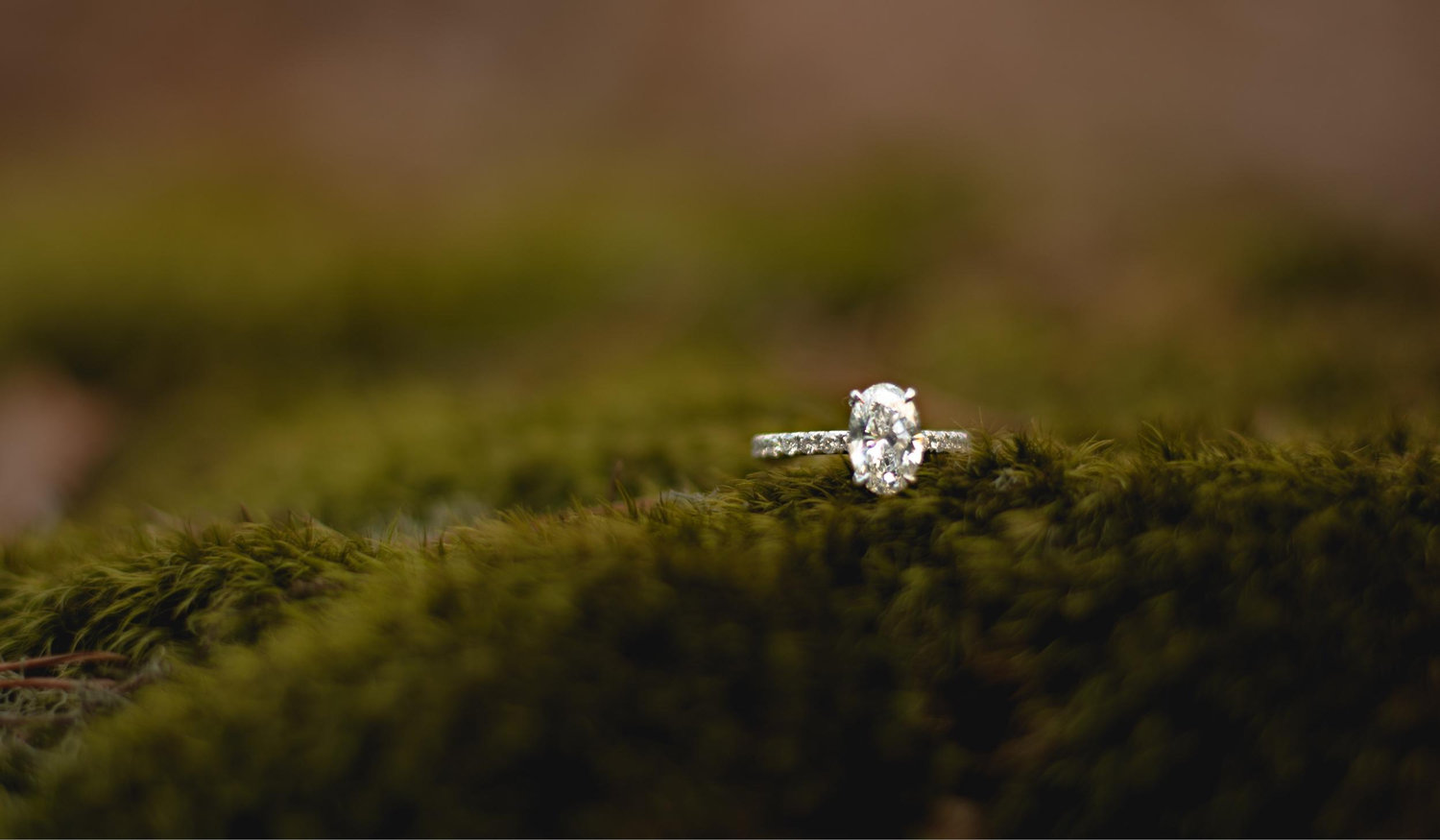 The Wedding Website of Aeriel Earley and Joshua Bailey