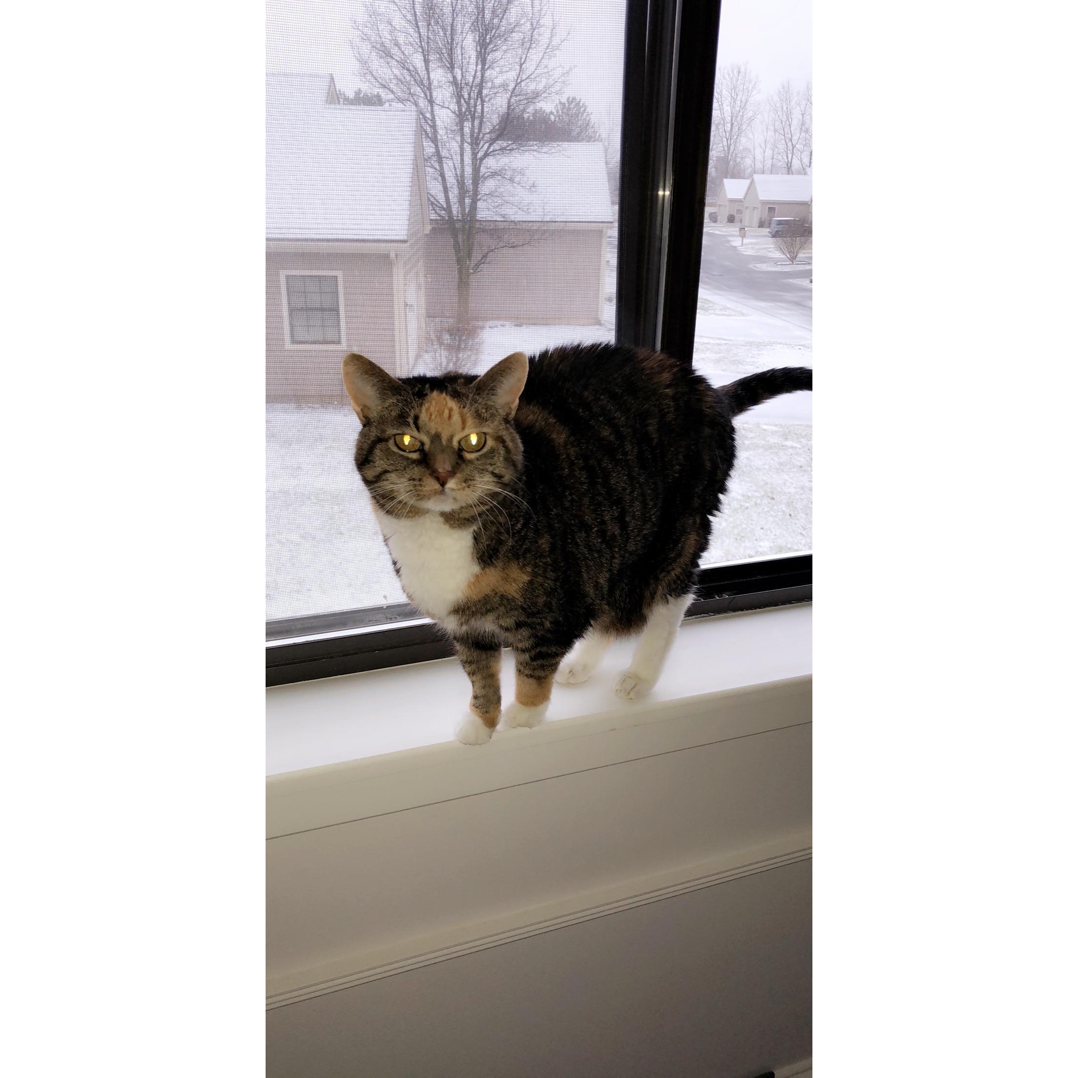 Our oldest girl, Nadia