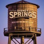 Walt Disney World’s Disney Springs