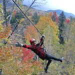 ArborTrek Canopy Adventures