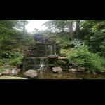 Charley Creek Gardens