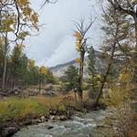 Mount Princeton Hot Springs Resort