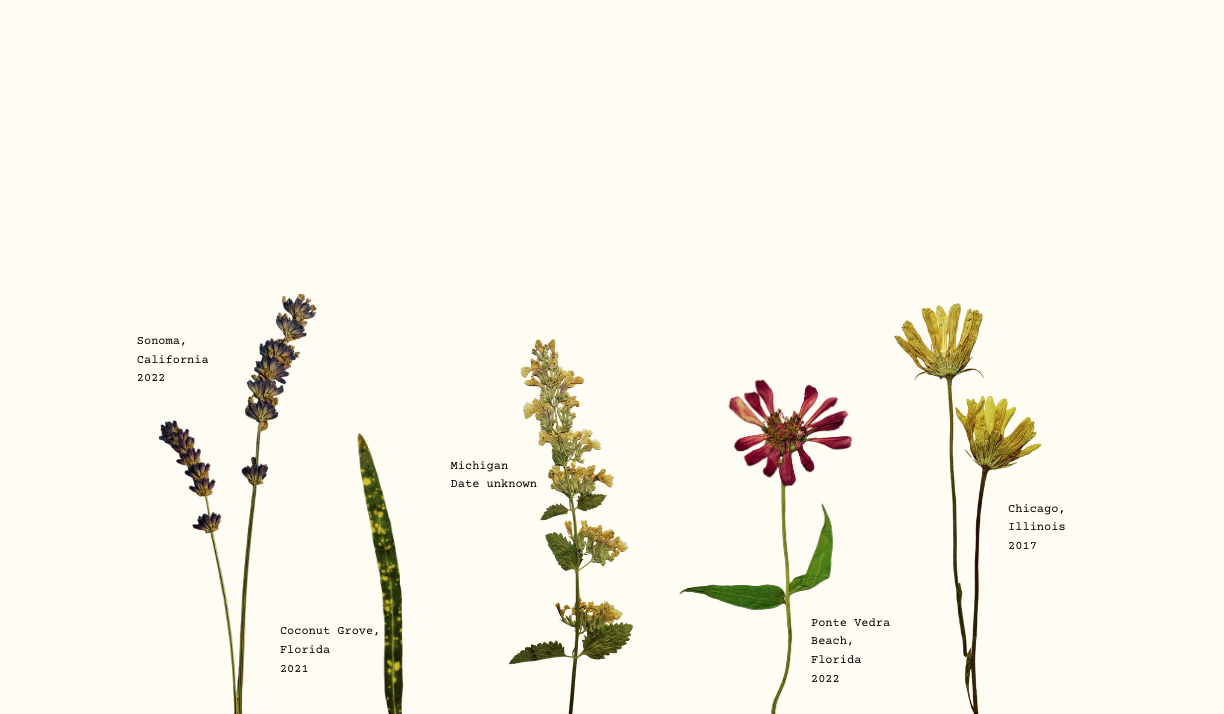 Footer image