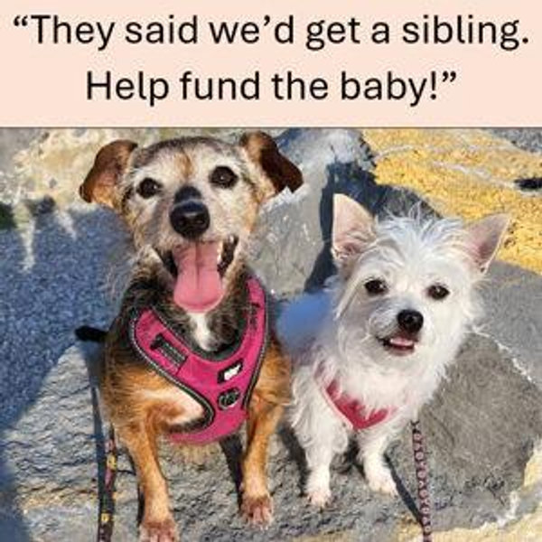 Baby Planning Fund ♥︎