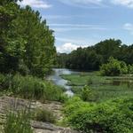 Chessie Nature Trail