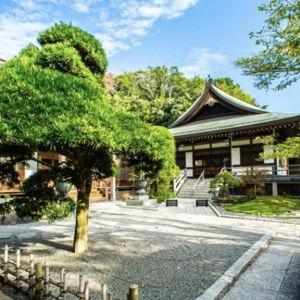 Entradas Templo Hokoku-ji (Kamakura)