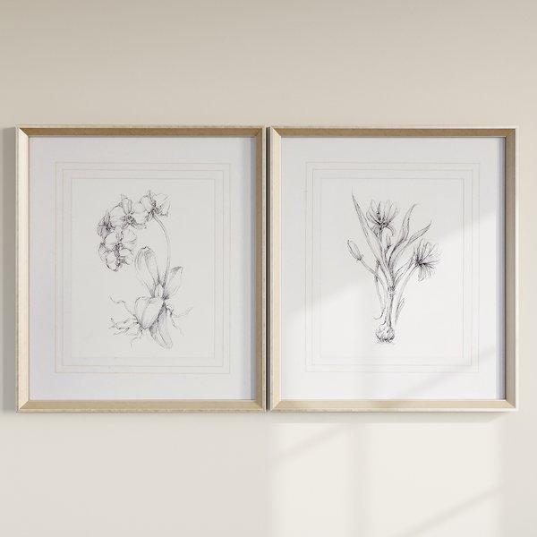 'Botanical Sketches' 2 Piece Framed Painting Print Set