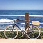 Bike Rentals at Wheel Fun Rentals