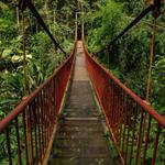 Jardín Botánico del Quindío