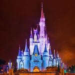 Walt Disney World