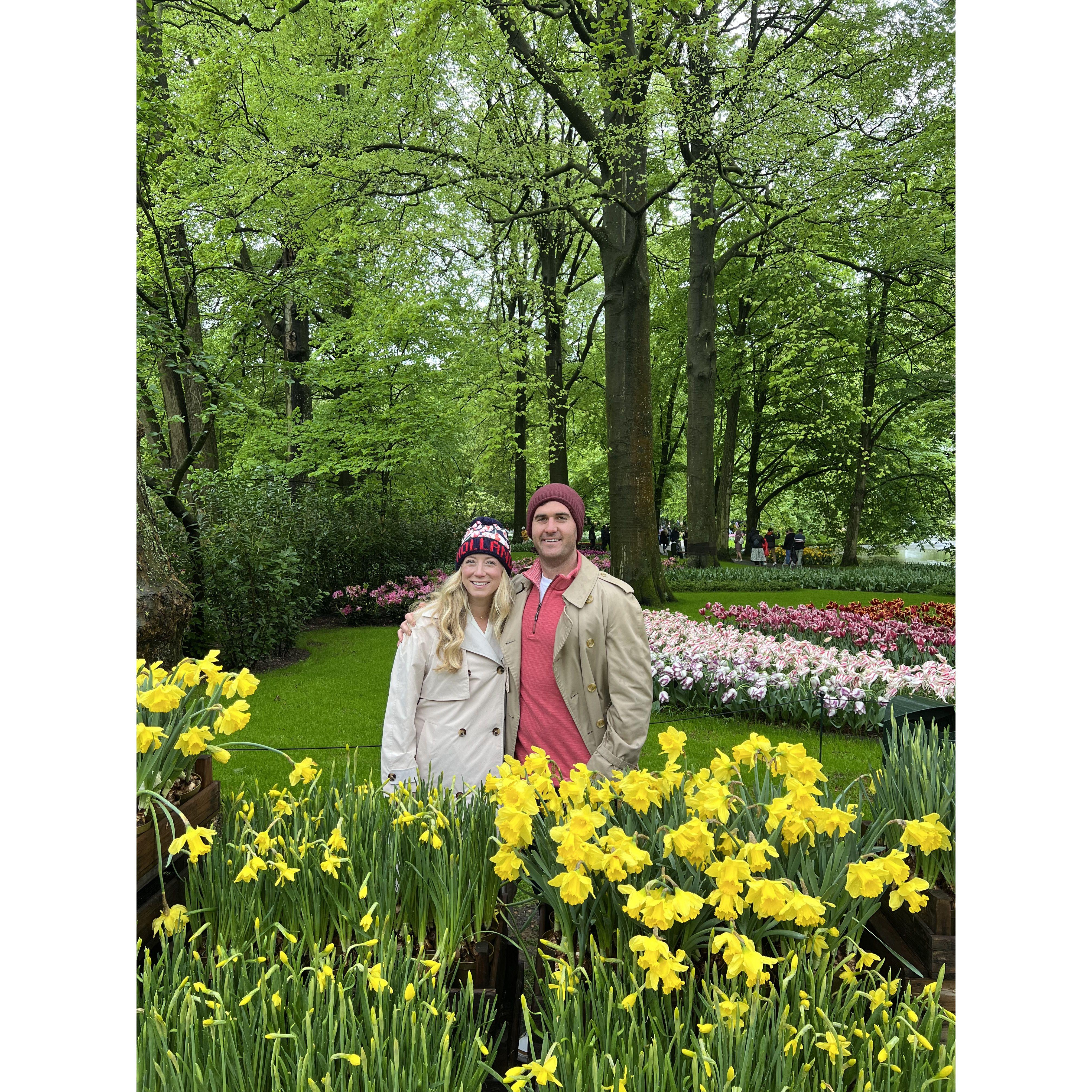 to tulip fields in Amsterdam!