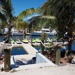 A1A Watersports & Boat Rentals
