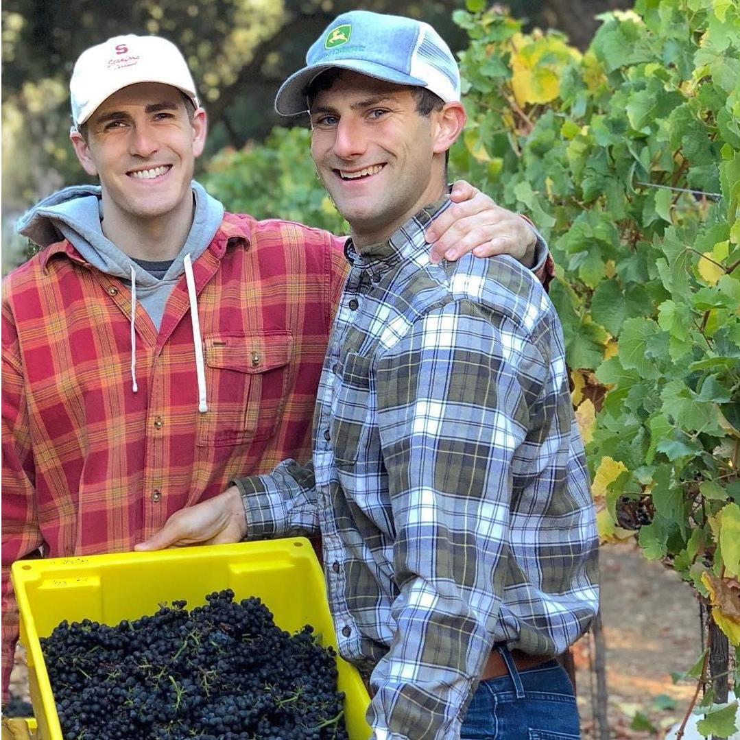 Pinot noir harvest 2018 on the farm in Carmel Valley