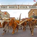 Fort Worth Stockyards