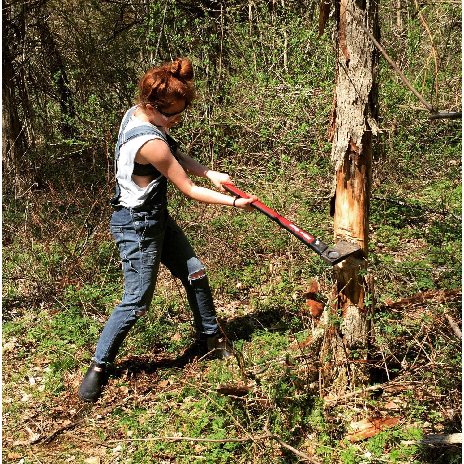 Gimli and her axe have been hard at work preparing!