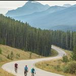 Bow Valley Parkway