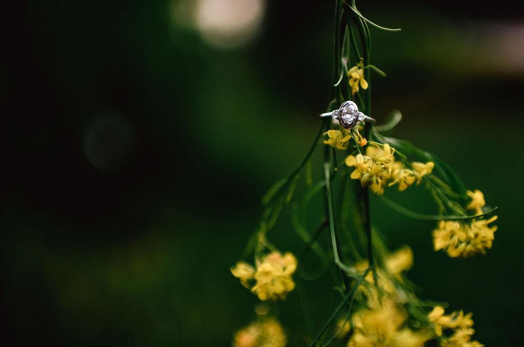The Wedding Website of Kelly Doepker and James Schroeder