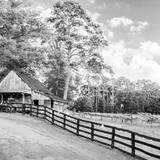 The Painted Horse Winery and Vineyards