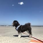 Beaches