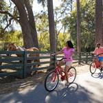 Bike Rentals