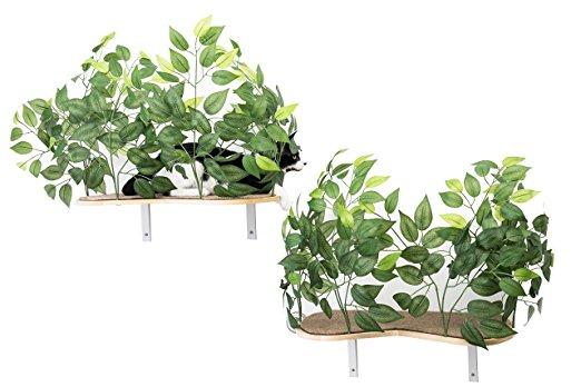 Leafy Cat Shelves