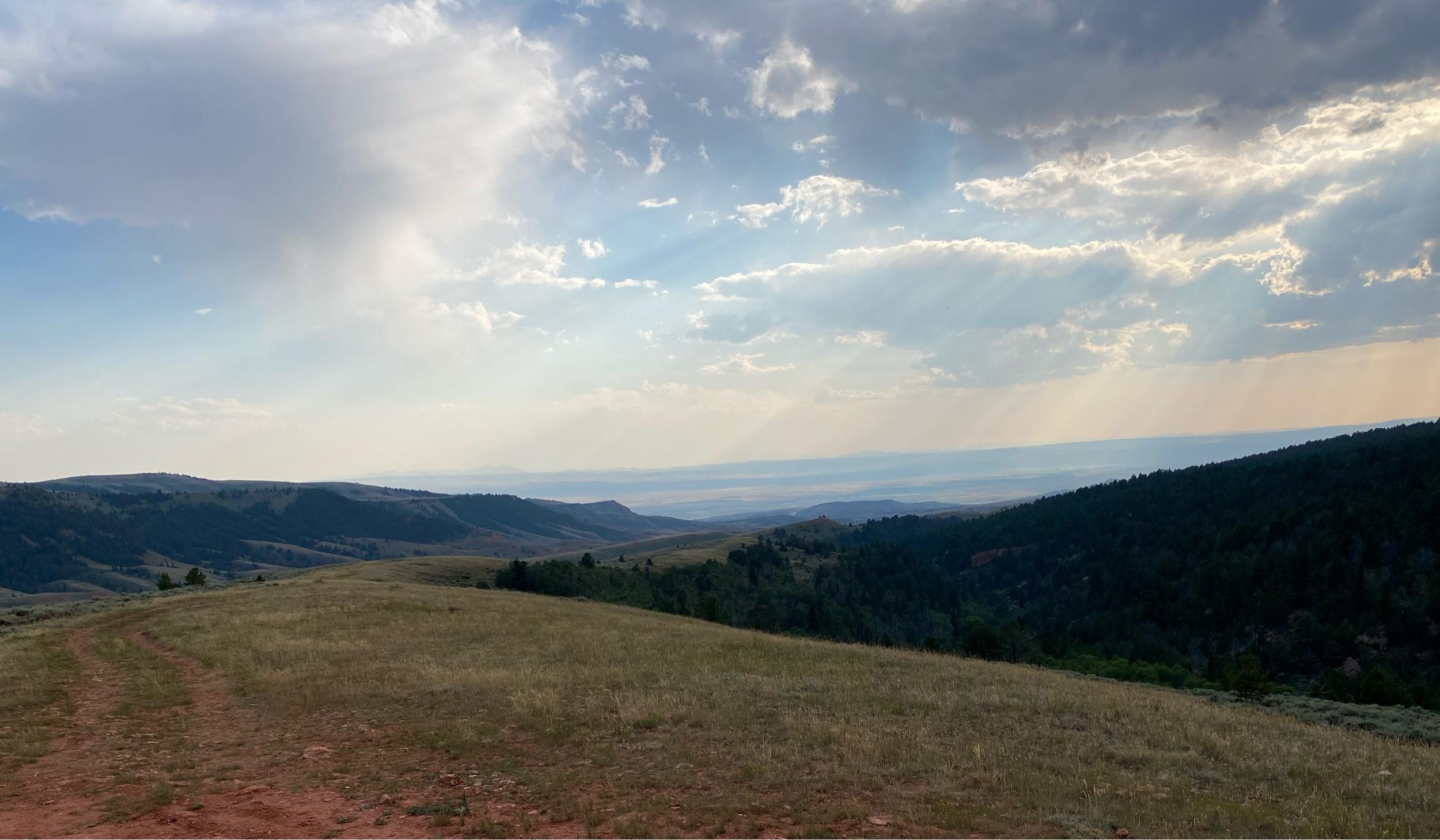 The Wedding Website of Monica Cardenas and Kasey Joyce