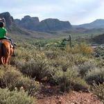 Saguaro Lake Ranch Stable