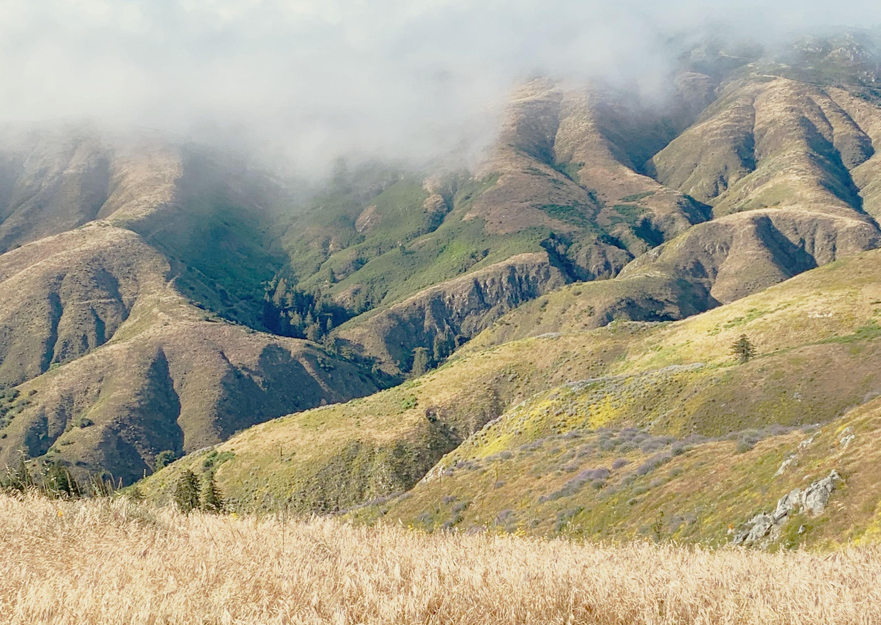 The Wedding Website of Katya Stukalova and Soumik Biswas