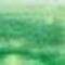 Seagrass