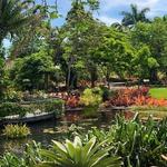 Naples Botanical Garden