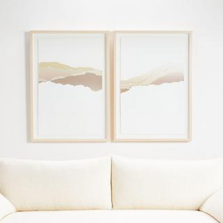 Desert Shadowbox