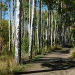 Water Canyon Recreation Area