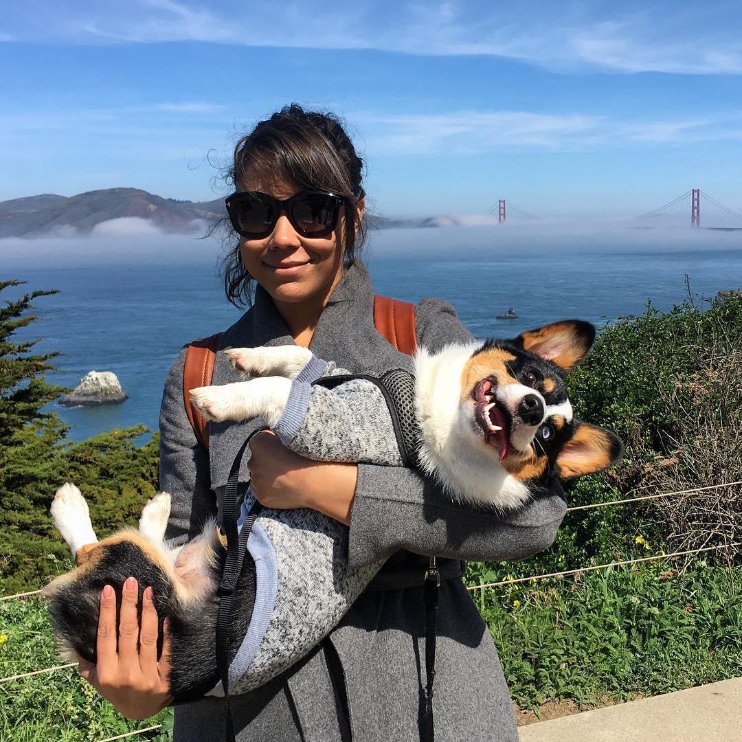 San Francisco, 2018