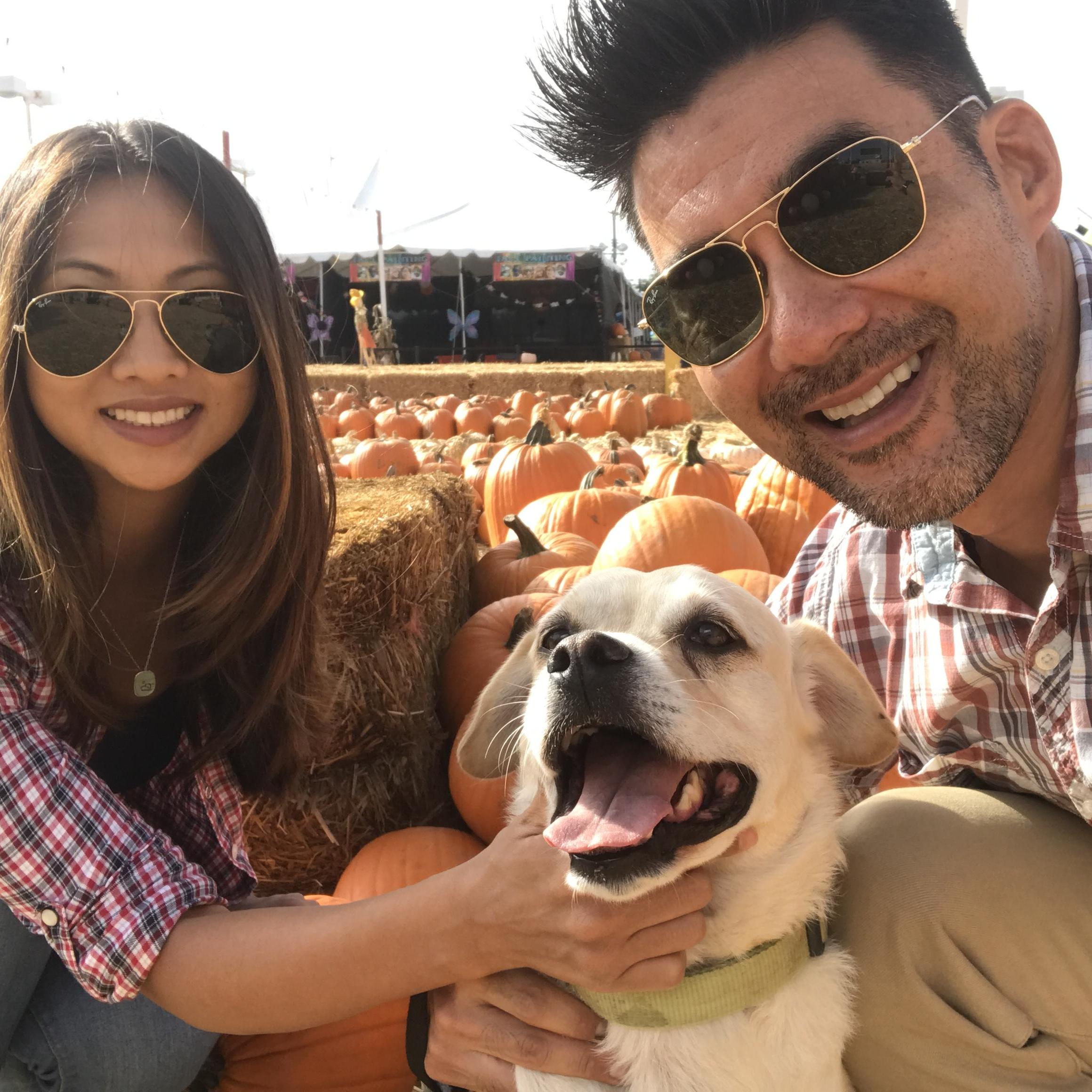 FRANKLIN'S FIRST PUMPKIN PATCH!