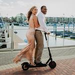 Bird Electric Scooter