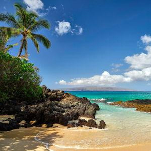 Trip to Hawaii - Credit Fund