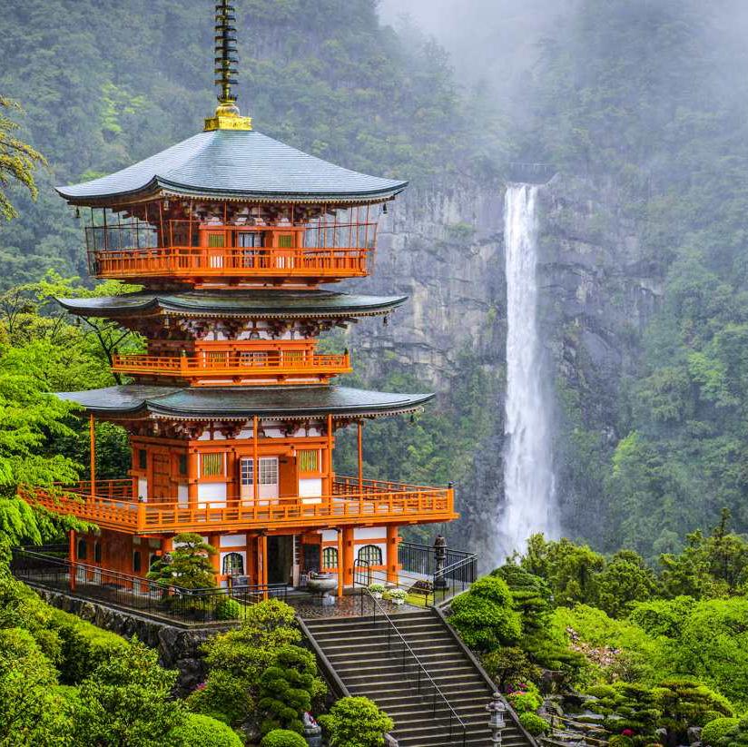 Round Trip Plane Tickets