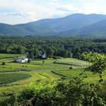 Monticello Wine Trail