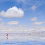 Salinas Grandes / Salt Flats