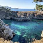 Point Lobos State Natural Reserve