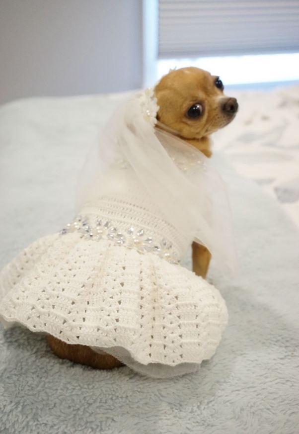 The Wedding Website of AMANDA GILBERT and ANGELO CASTANOS