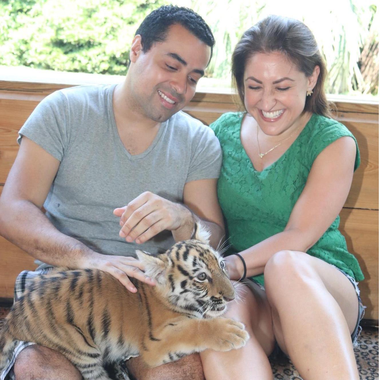 Baby tiger love