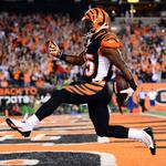 Cincinnati Bengals