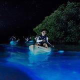 BK Adventure Florida - Bioluminescence Tours
