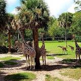 Jacksonville Zoo and Botanical Gardens